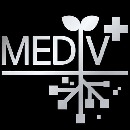 MEDIV logo gray